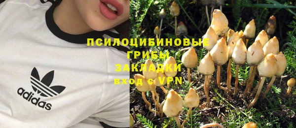 мяу мяу мука Алексин