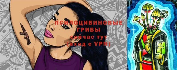 мяу мяу мука Алексин