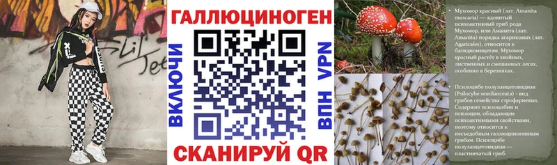 цены   Сорочинск  Галлюциногенные грибы GOLDEN TEACHER 